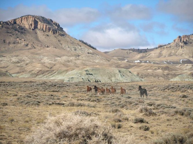 PA212468.JPG