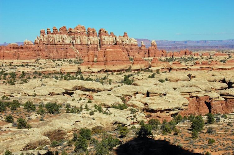 DSC_1435.jpg