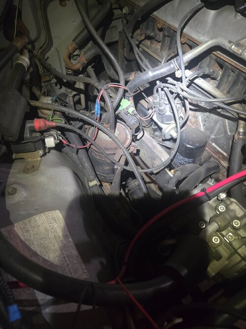 20260115_183129.jpg 20260115_183129.jpg