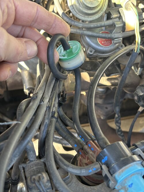 IMG_5261.jpeg IMG_5261.jpeg