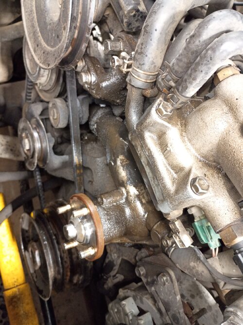 1000013382.jpg 1000013382.jpg