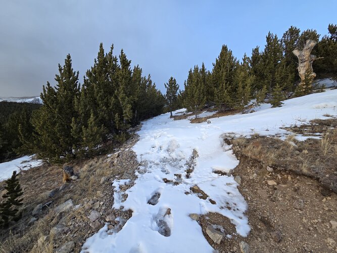 1000001696.jpg 1000001696.jpg