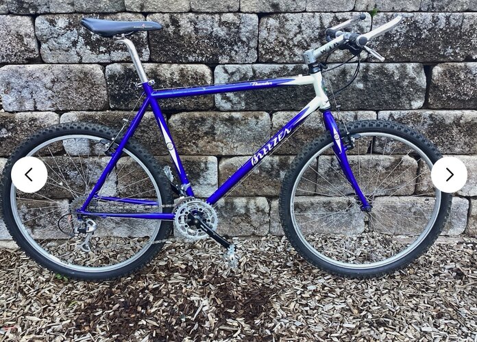 IMG_1347.jpeg IMG_1347.jpeg