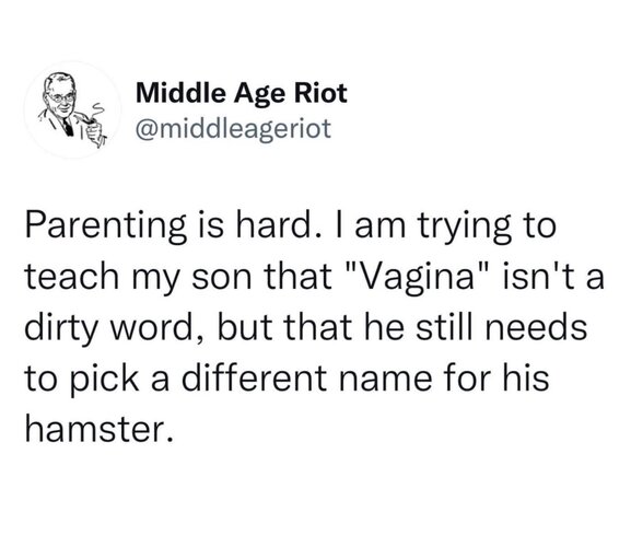 Vagina the hamster.jpeg