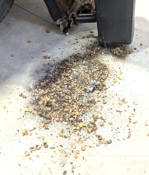 Screenshot 2026-03-15 at 9.23.51 PM.png