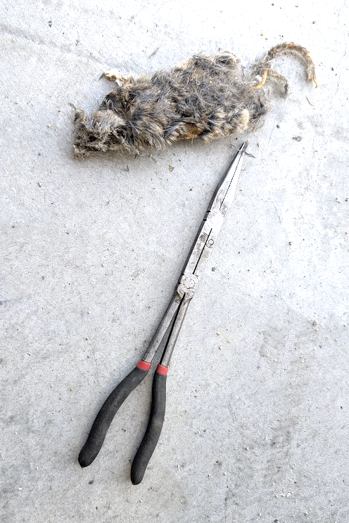 Screenshot 2026-03-15 at 9.27.30 PM.png