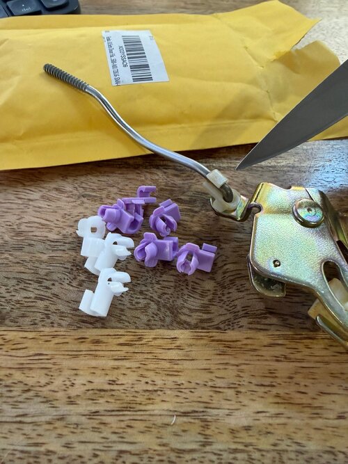 IMG_0931.JPEG IMG_0931.JPEG