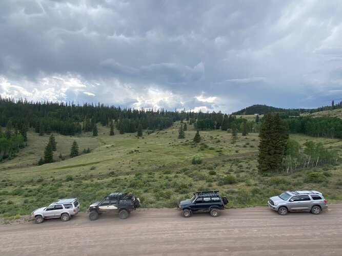 IMG_7090.jpeg IMG_7090.jpeg
