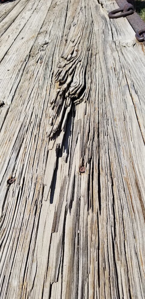 20260610_114913.jpg