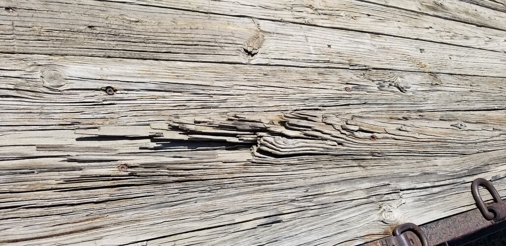 20260610_114910.jpg