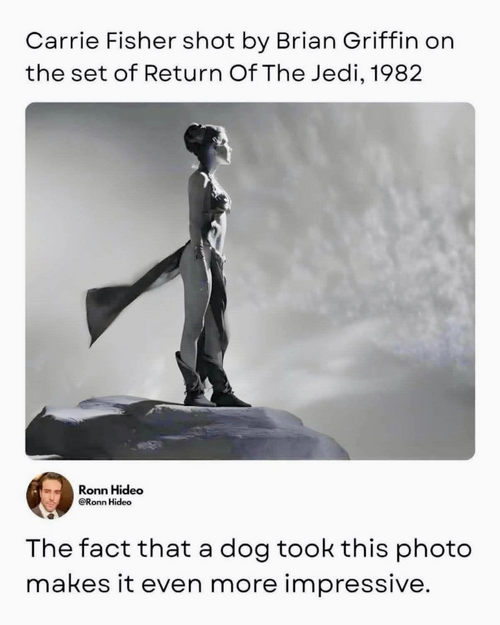 1781731891236.png