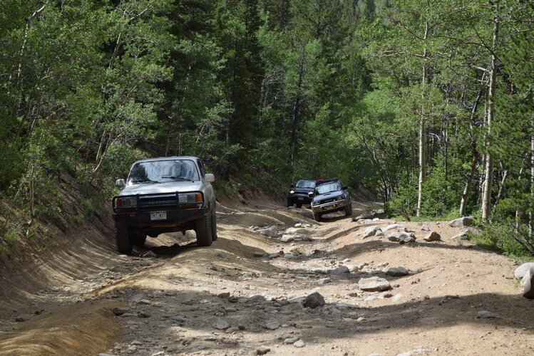 DSC_0116.JPG DSC_0116.JPG