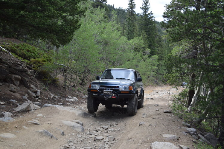 DSC_0141.JPG DSC_0141.JPG