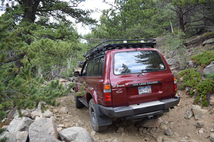 DSC_0258.JPG DSC_0258.JPG