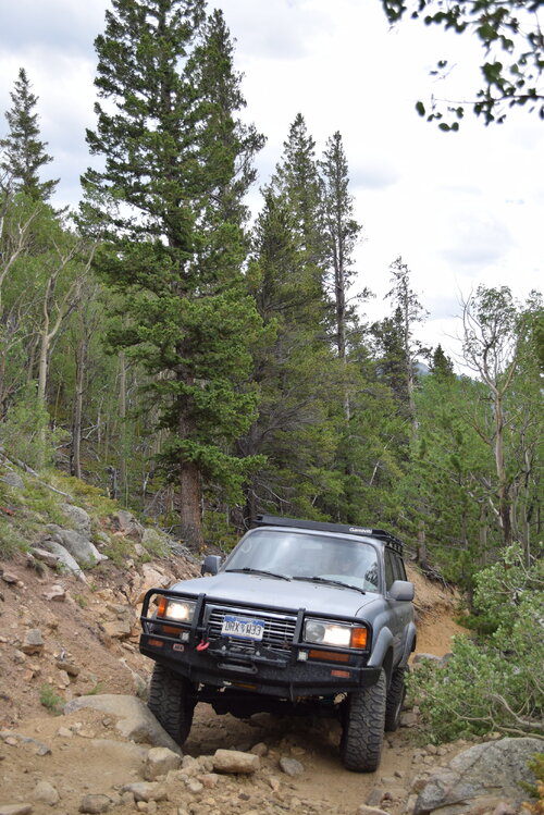 DSC_0277.JPG DSC_0277.JPG