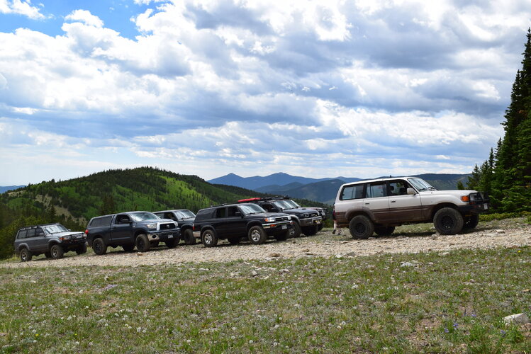 DSC_0338.JPG DSC_0338.JPG
