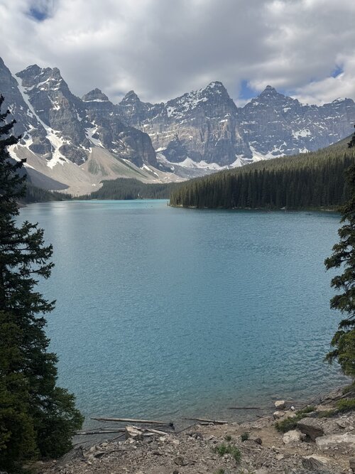IMG_7383.jpeg