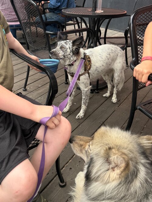 IMG_0588.jpeg