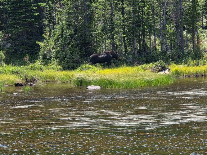 20260803_134609.jpg