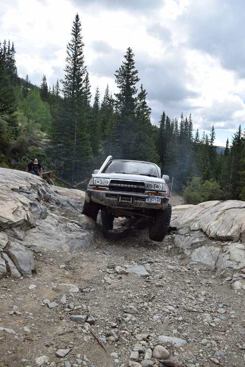 DSC_0797.JPG DSC_0797.JPG