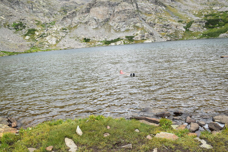 DSC_0242.JPG DSC_0242.JPG