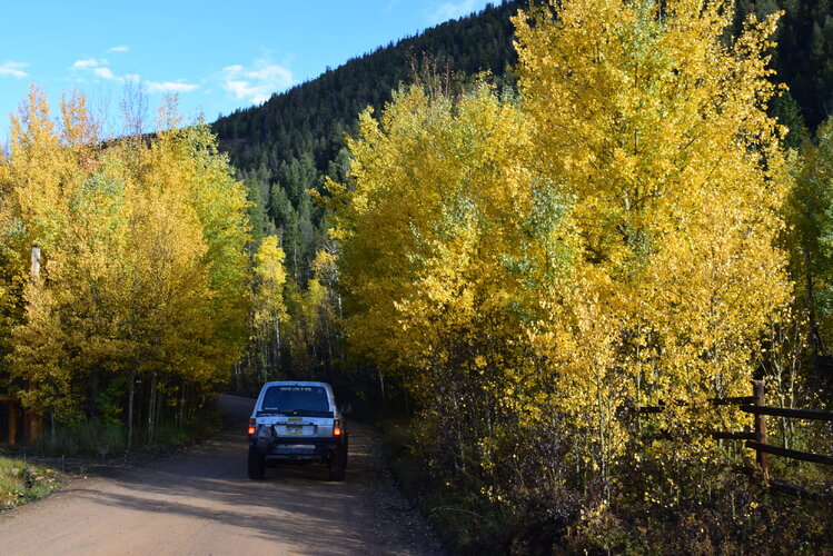 DSC_0910.JPG DSC_0910.JPG