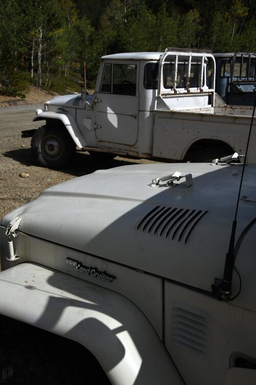 DSC_7984.jpg DSC_7984.jpg