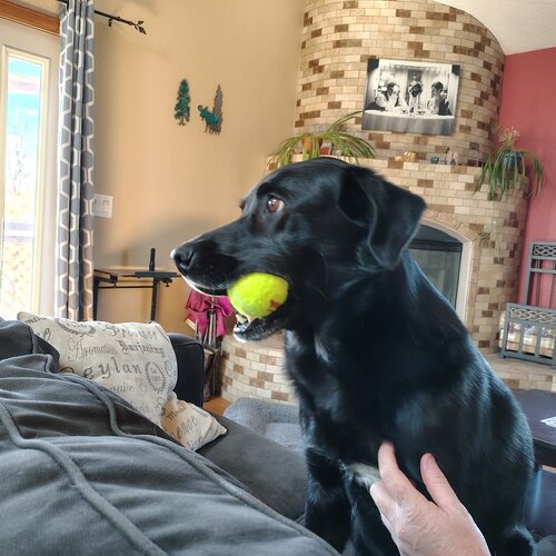 IMG_20260922_114452301_HDR.jpg