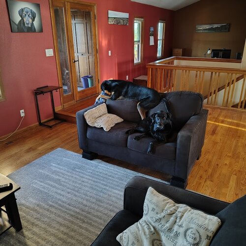 IMG_20261011_174511850_HDR.jpg