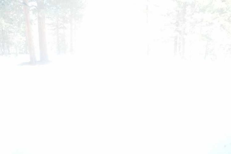 DSCF0533.jpg