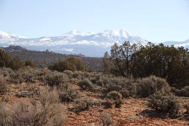MoabPreRun201026.jpg