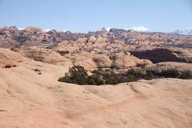 MoabPreRun201072.jpg