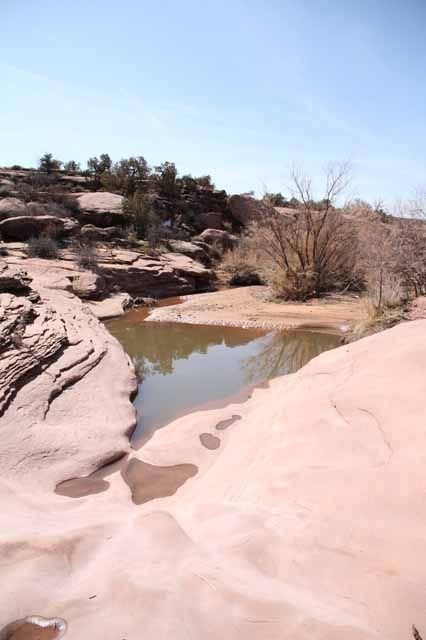MoabPreRun201014.jpg