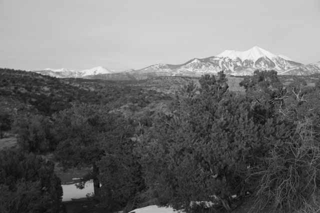 MoabPreRun201024.jpg