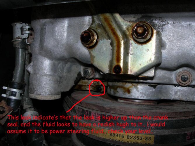 crank leak copy.jpg
