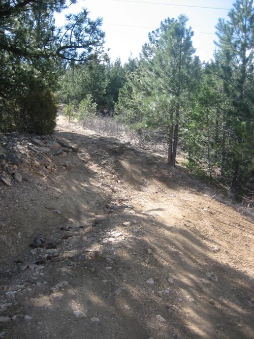 Spring2010 April19 013.jpg