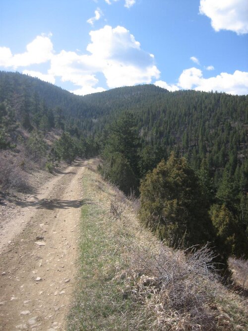Spring2010 April19 016.jpg