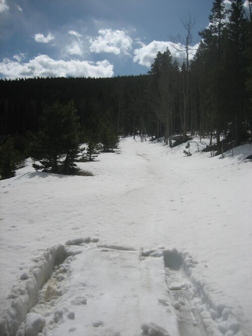 Spring2010 April19 019.jpg