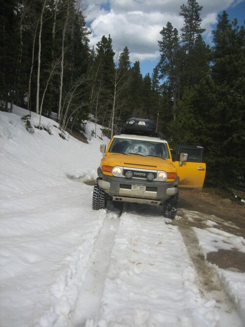 Spring2010 April19 020.jpg