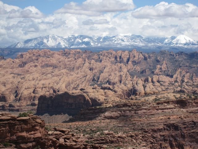 IMG_2229.jpg