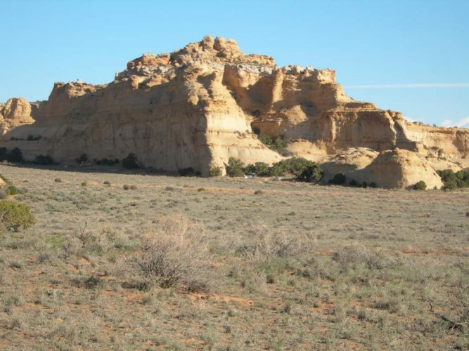 DSCN7029.jpg