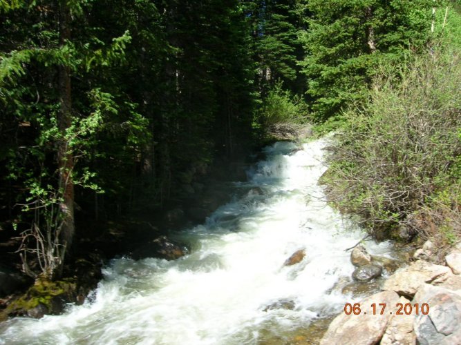 DSCN5767.jpg