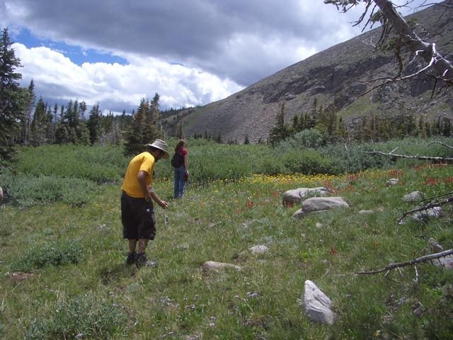 IMGP2774.jpg