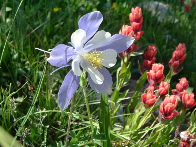 2006_0730Image0076.JPG