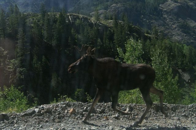 Ouray 2006 set 2 021a.jpg