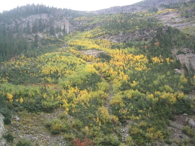 120_2054.JPG