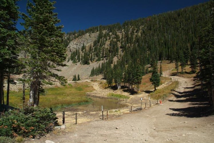DSCF1153.jpg