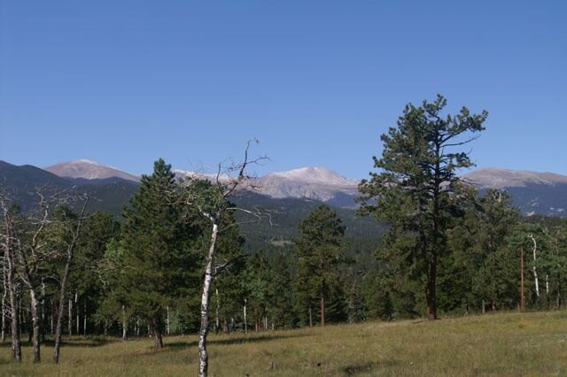 PICT0017a.jpg