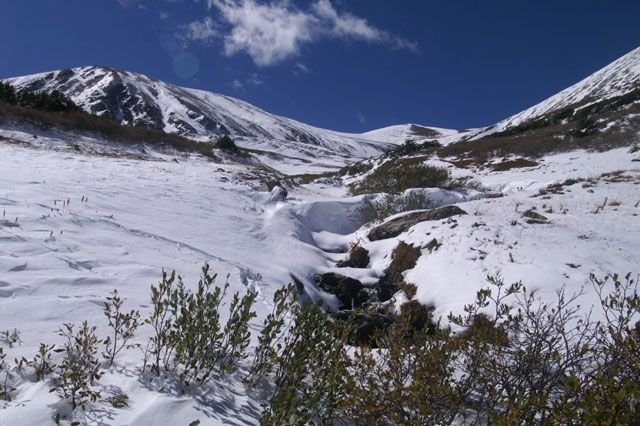 Argentine Pass Mt Evans 9 24 06 024a.jpg