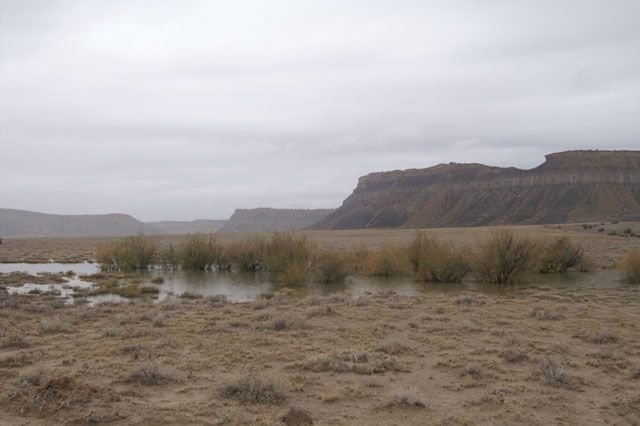PICT0036a.jpg